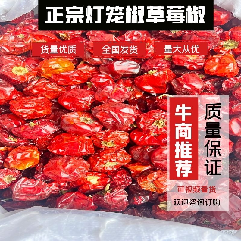 灯笼椒灯笼椒草莓椒干辣椒量大从优质量保证！