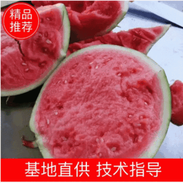 夏邑美都个大包甜新鲜上市一茬瓜欢迎咨询1