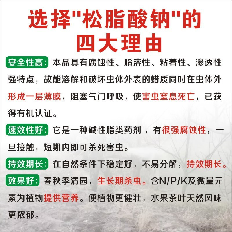 松脂酸钠矢尖介红蜡介牡蛎介壳虫代替石硫合剂果树清园专用杀