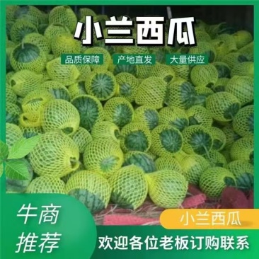精品小兰西瓜特小凤西瓜质量保证品种纯正假一赔十