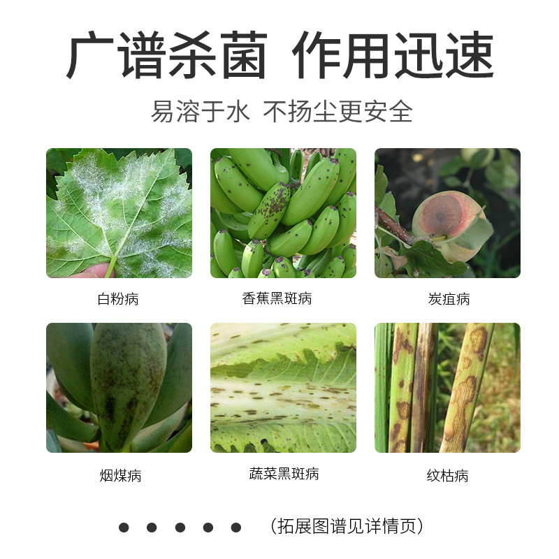 农药戊唑醇多菌灵轮纹白粉叶斑病多肉花卉蔬菜瓜果树通专用杀