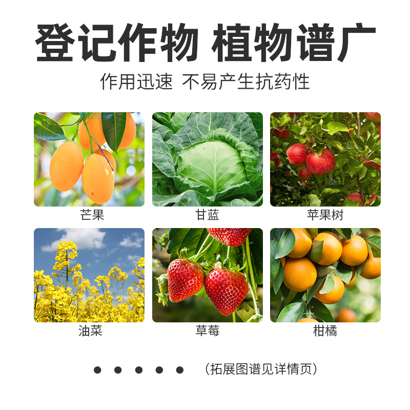 农药戊唑醇多菌灵轮纹白粉叶斑病多肉花卉蔬菜瓜果树通专用杀