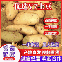 【优选】土豆v7土豆希森六号大量上市，质量保证