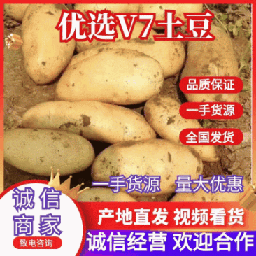 沃土，亿亩田黄皮黄心。大量上市基地直发