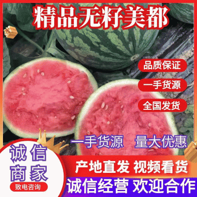甘肃西瓜无籽美都麒麟西瓜口感好皮薄支持视频