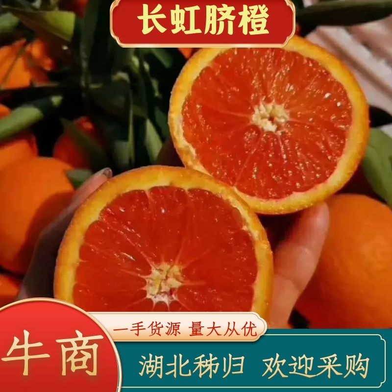 秭归脐橙，中华红橙产地大量供应，看货采摘保质保量