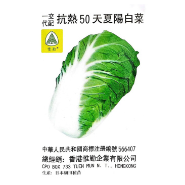 夏阳白菜种子抗热50天进口耐热耐湿春夏秋白菜种子