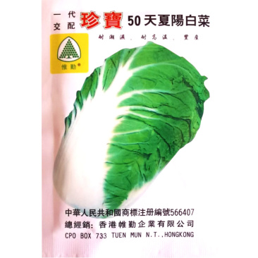 珍宝50天夏阳白菜种子夏季早熟抗热抗病秋季大白菜