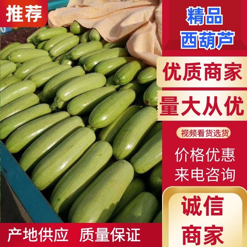 精品西葫芦，八两左右，可供电商平台，超市，走市场均可