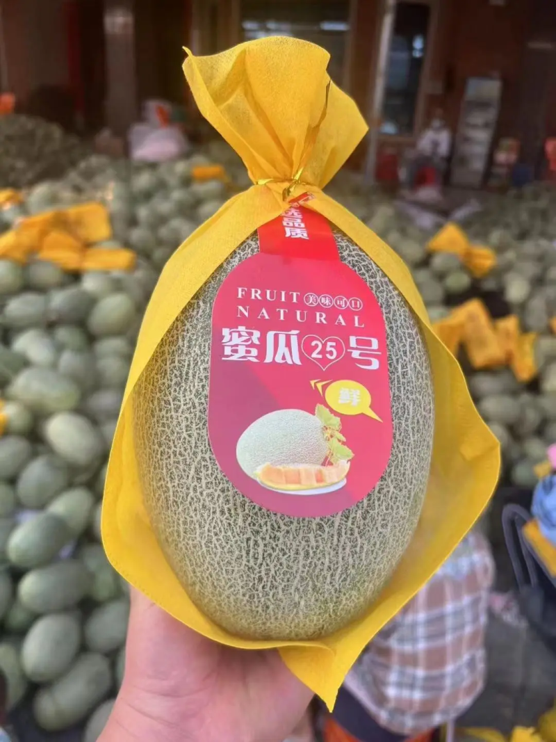 【精品】晓蜜25海南哈密瓜供应商超产地直发量大从优