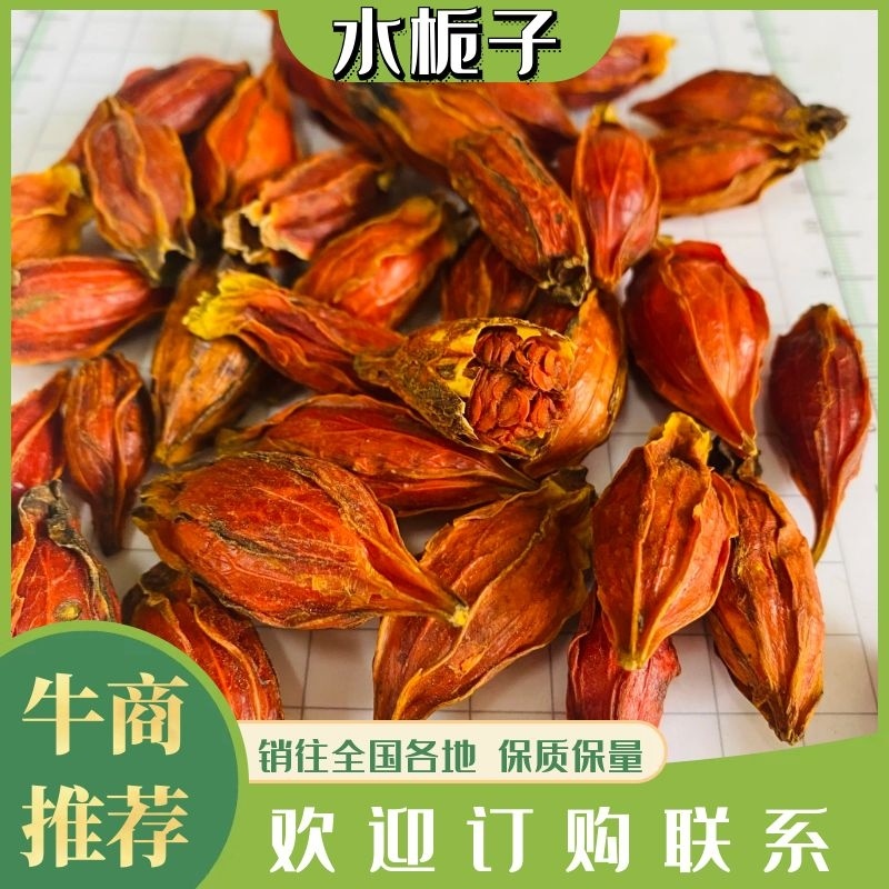 🔥热销水栀子江西山栀子产地直供量大从优