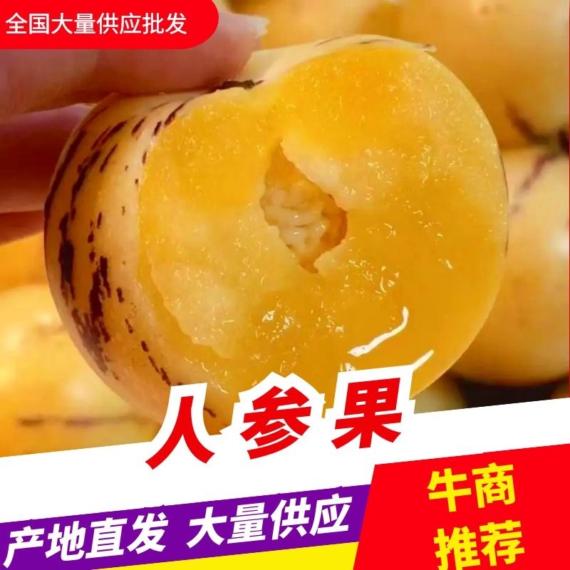 精品推荐甘肃民勤沙漠头茬人参果原产地现摘现发
