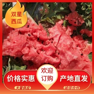 精品双星西瓜产地直发量大价优九成熟以上有专业验瓜队