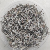 翻白草无硫翻白草干净无沫中药材批发供应品种齐全