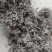 翻白草无硫翻白草干净无沫中药材批发供应品种齐全
