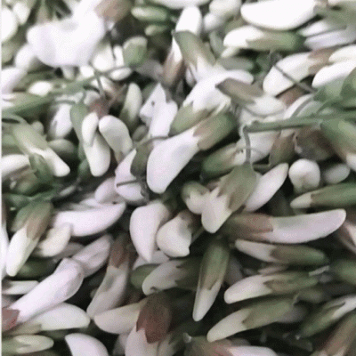 速冻鲜洋槐花对接批发市场，电商社区团购，精品保证一手货源