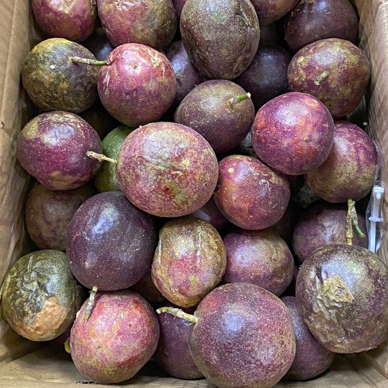皱皮百香果，市场果，电商果，次果，大量有货，全年不断货