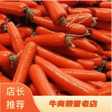 胡萝卜三红胡萝卜河南基地直发质量保证无青头无虫眼
