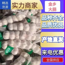 山东大蒜金乡大蒜基地直发全国发货量大从优一手价格欢迎采购