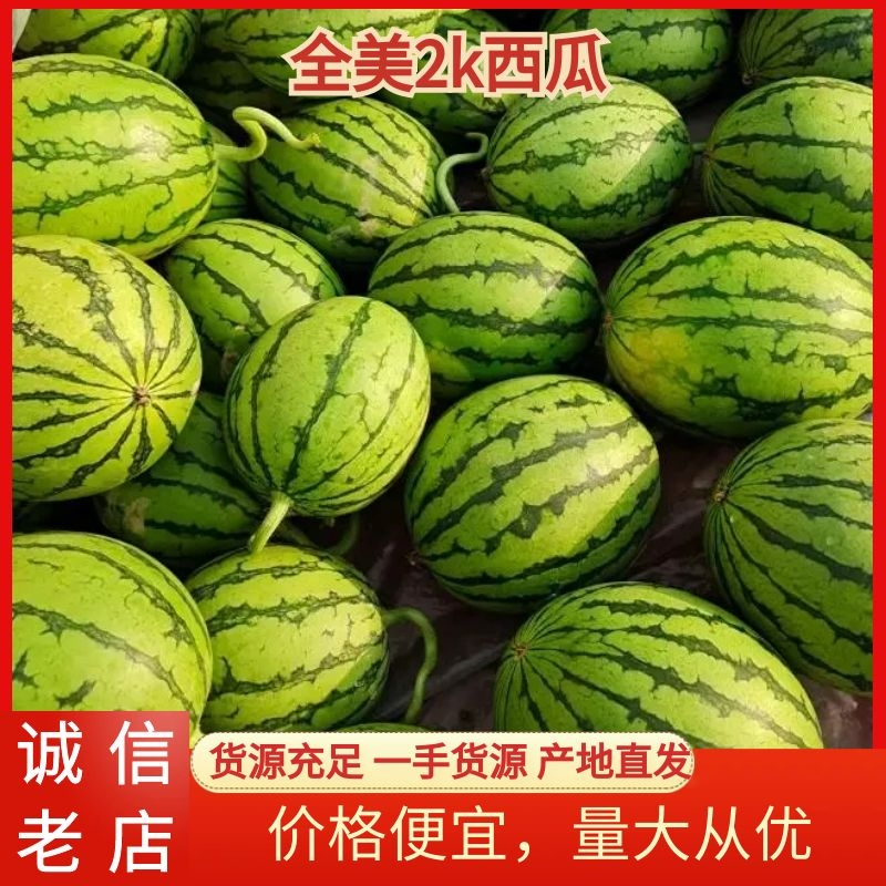 安徽砀山小西瓜2K早春红玉大量上市，产地直销代购代发。