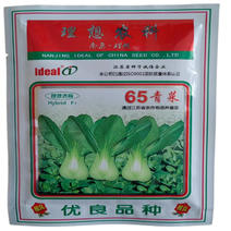 理想65青菜种子耐热青梗菜上海鸡毛菜种子蔬菜基地用50