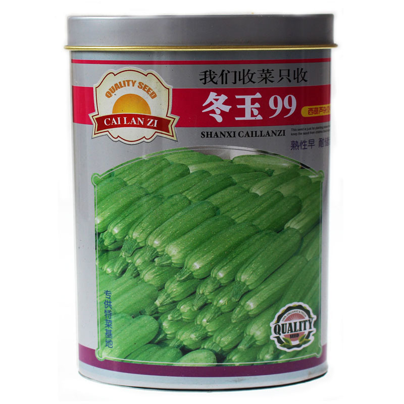 冬玉99西葫芦种子嫩绿西葫芦种子瓜条顺直光泽亮丽抗病