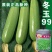 冬玉99西葫芦种子嫩绿西葫芦种子瓜条顺直光泽亮丽抗病