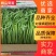 茼蒿江苏茼蒿小叶茼蒿大量上市产地看货验货货真价实