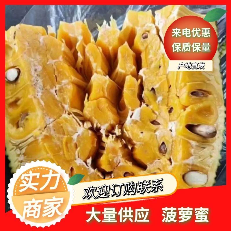 广东菠萝蜜大量有货产地直发对接电商平台商场市场