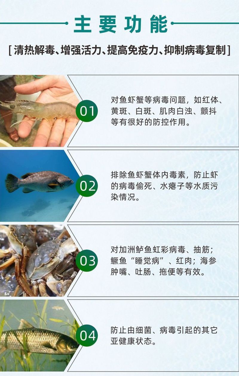 对虾白斑病虹彩病怎么解决南美白对虾抗病毒药偷死不吃料
