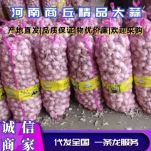 《供货中》精品干大蒜基地直供，质量保证，交通便利，全国