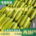 西葫芦大量上市对接市场超市电商平台需要联系