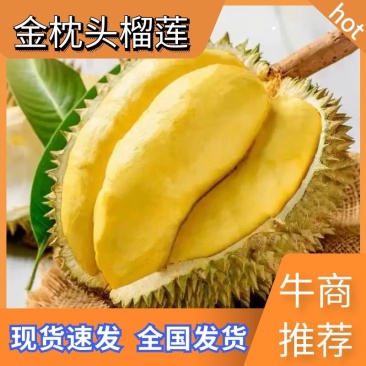 《推荐》金枕头榴莲甲仑金枕接电商供应保质保