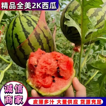 『欢迎来电』优质西瓜潍坊2K西瓜大量上市实图实价欢迎咨询