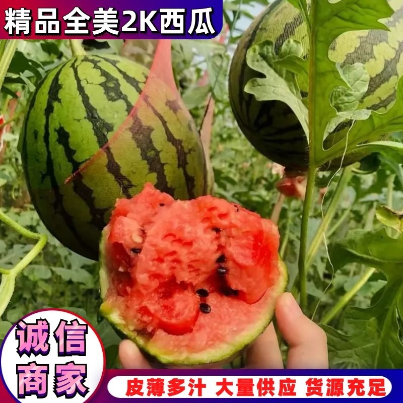 『欢迎来电』优质西瓜潍坊2K西瓜大量上市实图实价欢迎咨询