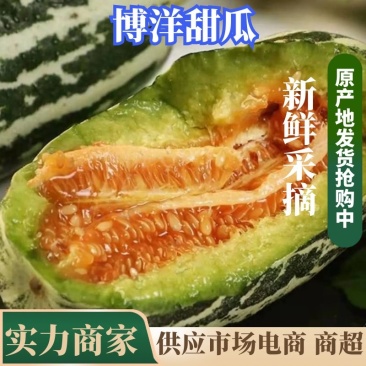 山东甜瓜精品博洋九号甜瓜对接电商超市批发市场