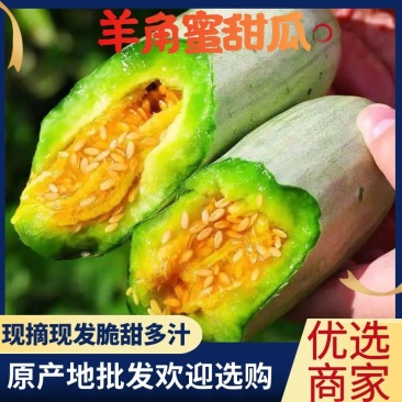 山东费县羊角蜜甜瓜口感脆甜供应各大超市和批发市场