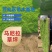 【热销】马尼拉草坪规格齐全品质上乘成活率高欢迎咨询