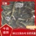 泥鳅圆鳅基地直发新鲜上市个头大量大从优欢迎联系
