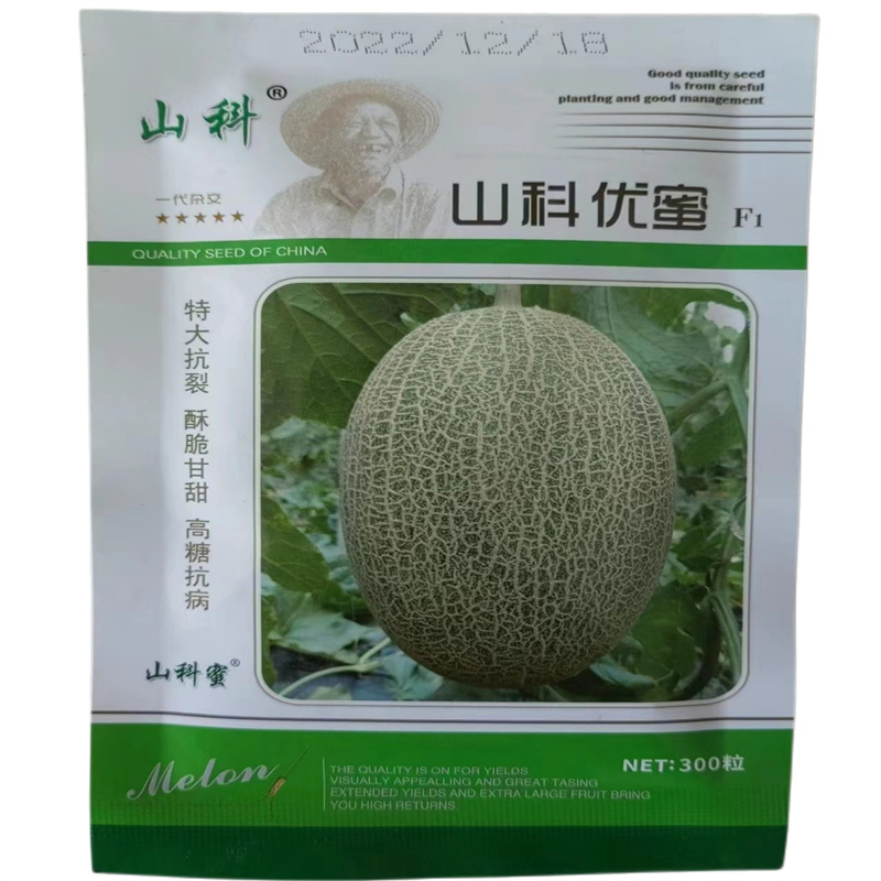 山科优蜜哈密瓜种子网纹甜瓜种子洋香瓜肉橘红酥脆早熟