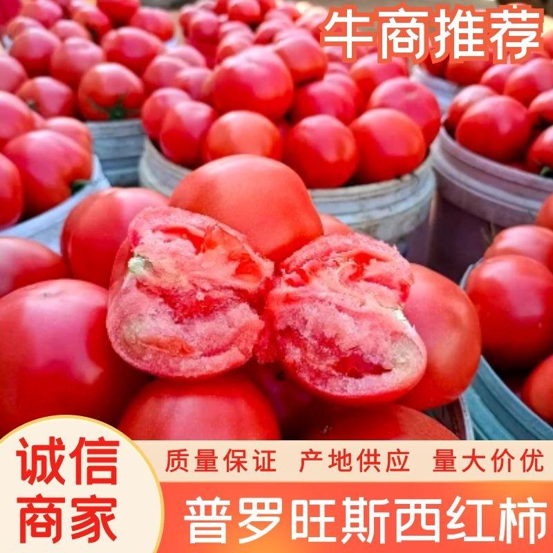 普罗旺斯西红柿，高品质，价格合理，专业一件代发