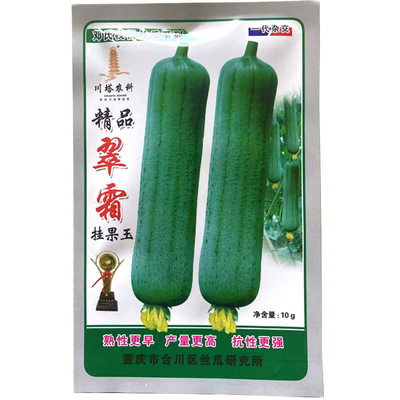 翠霜丝瓜种子短棒肉丝瓜熟性早香味浓不易空心挂果力强