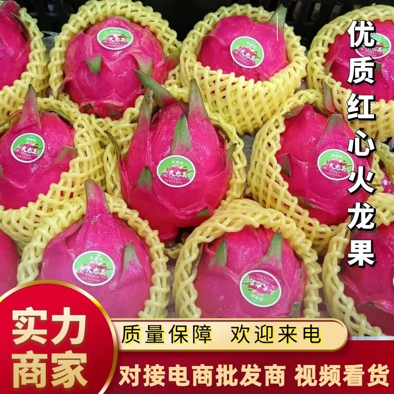 《精选》广西火龙果红心火龙果产地直发全国发货随行就市