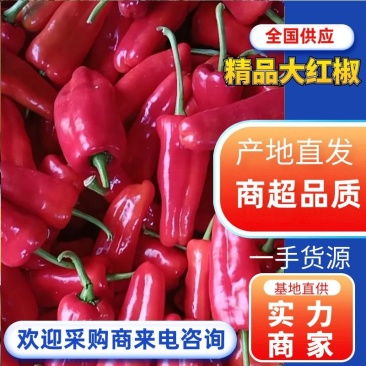 鲜辣椒/红椒/大红椒/江苏大红椒/淮安鲜辣椒/产地发货