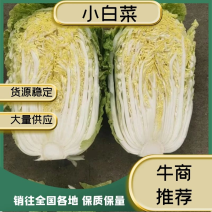 精品【黄心白菜】小白菜娃娃菜品质保证规格齐全