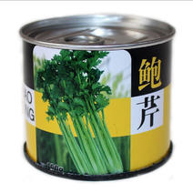 鲍芹种子本芹实心芹菜种籽无渣青翠长细芹菜种籽蔬菜青芹菜苗