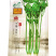 鲍芹种子本芹实心芹菜种籽无渣青翠长细芹菜种籽蔬菜青芹菜苗