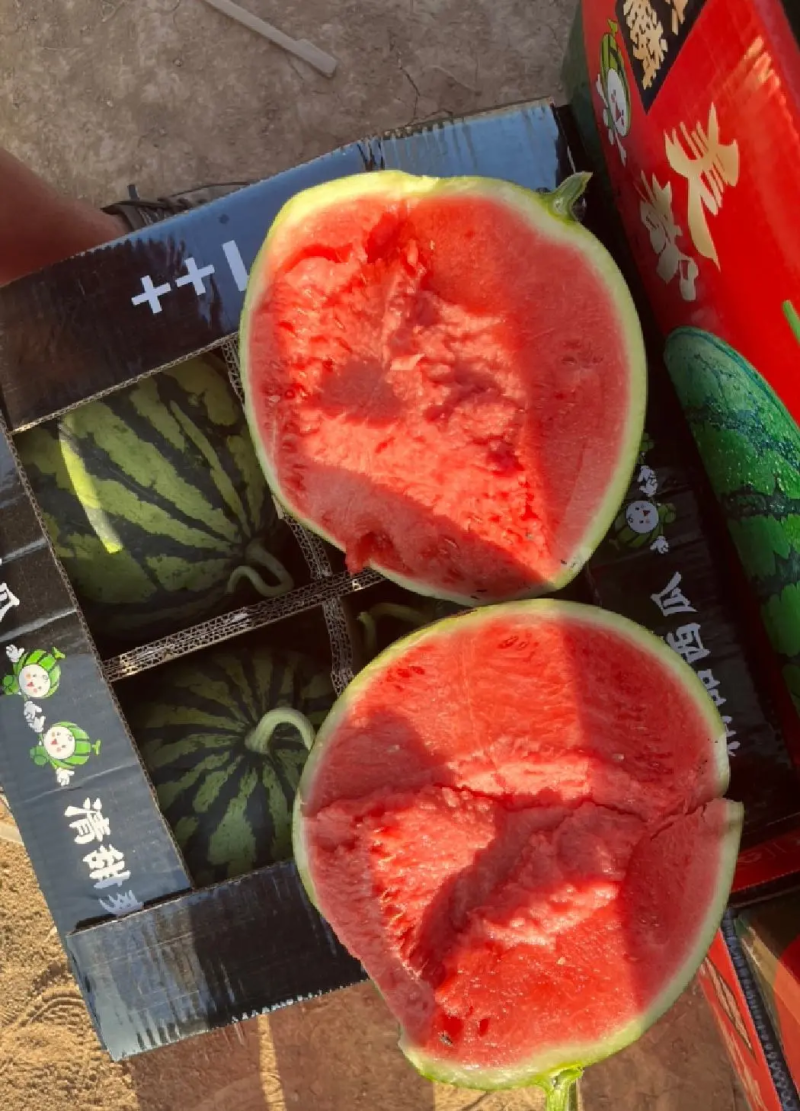 精品云南美都西瓜，价格不高，包熟包甜质量保障量大优惠