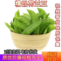 【荷兰豆】荷兰豆河南新野荷兰豆大量出货质优价廉对接全国