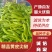 【鲜辣椒】精品尖椒黄皮尖椒供应各大市场电商商超